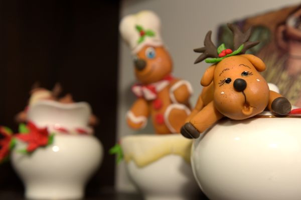 Meirelande Freitas decorou a casa para a chegada do natal  por Fernando Madeira