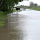 Imagem - Após aulas, Linhares tem consultas e exames suspensos devido à chuva