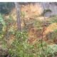 Imagem - Chuva causa estragos e interdita acesso à zona rural de Fundão