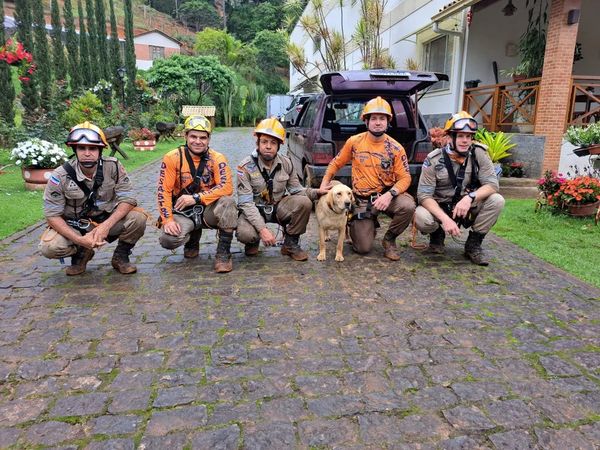 Cachorro é resgatado por bombeiros após passar 18 dias preso em penhasco no ES