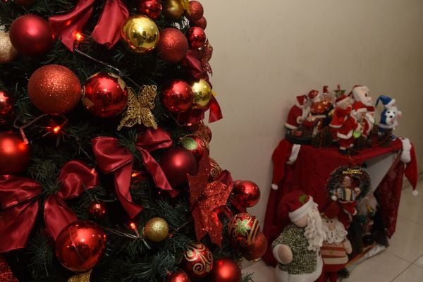 A professora aposenatada Andréa Lima adora decoração de Natal por Carlos Alberto Silva