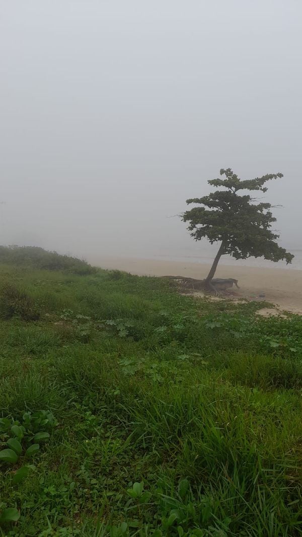 Forte neblina encobriu paisagens da região de Enseada Azul, em Guarapari, na manhã desta quinta-feira (8) por Leitora | A Gazeta