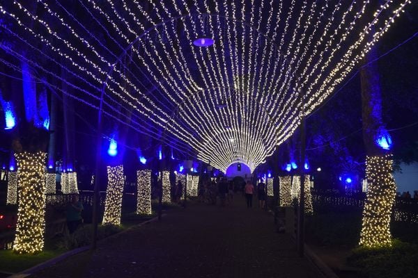 Iluminação de Natal  por Carlos Alberto Silva