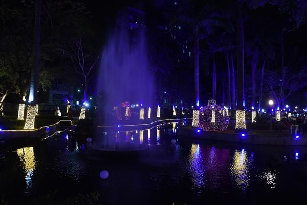 Iluminação de Natal  por Carlos Alberto Silva