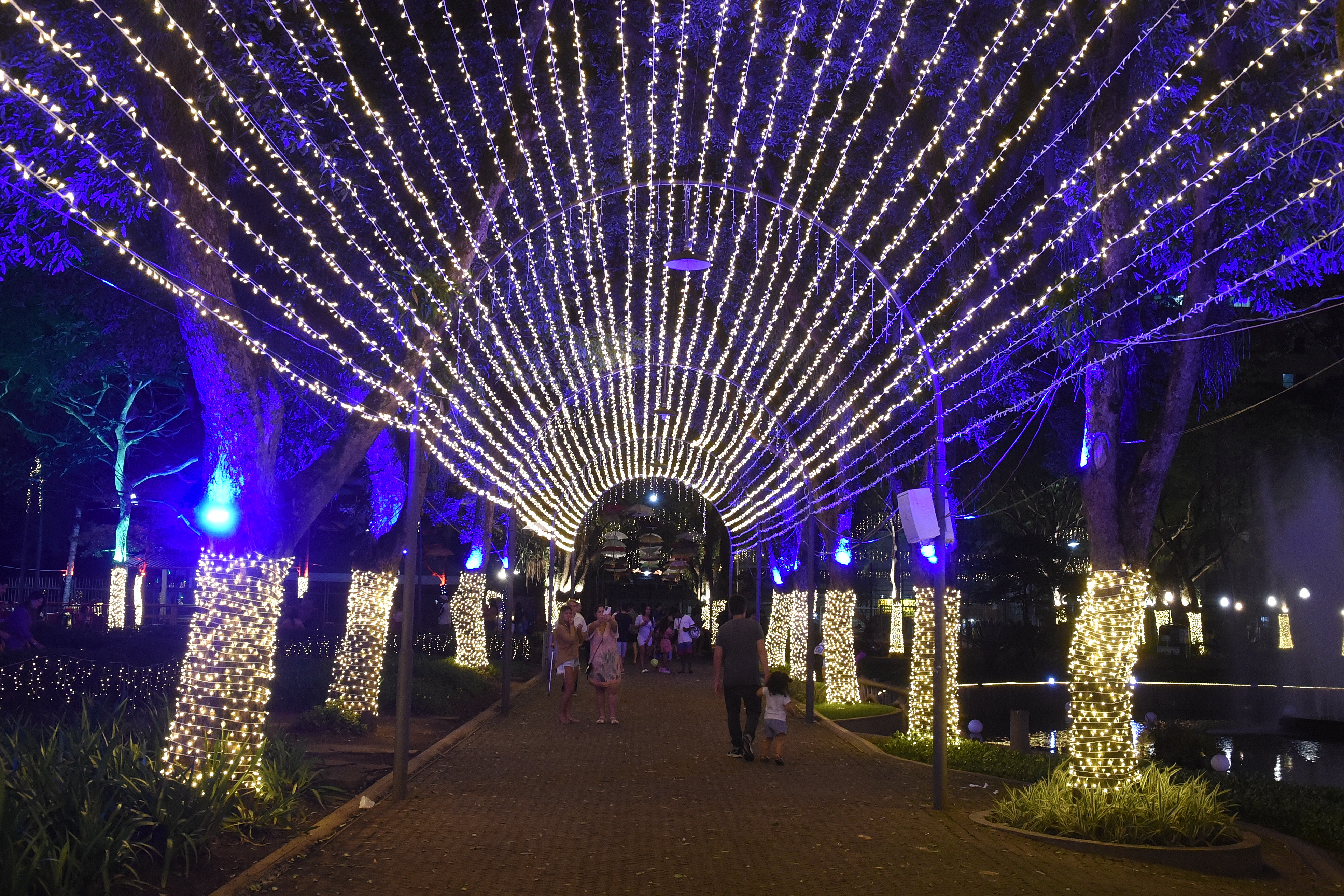 HZ | Natal do Parque Moscoso: veja como ficou o show de luzes no local, em  Vitória | A Gazeta