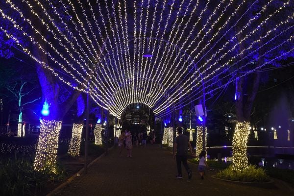 Iluminação de Natal  por Carlos Alberto Silva