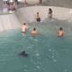 Imagem - Pista de skate vira "piscina pública" após chuva em Jaguaré; veja vídeo