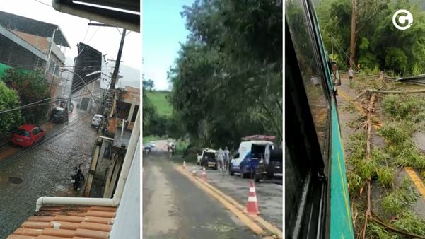 Cachoeiro de Itapemirim, no Sul do Espírito Santo, registrou casas destalhadas e árvores caídas neste sábado (10)