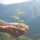 Imagem - Novo marco ambiental do ES: equilíbrio entre proteção do meio ambiente e burocracia