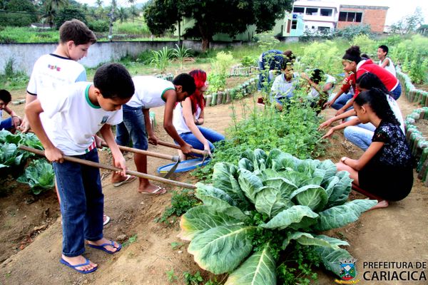 Trabalho com a horta estimula alunos a terem contato com outras atividades