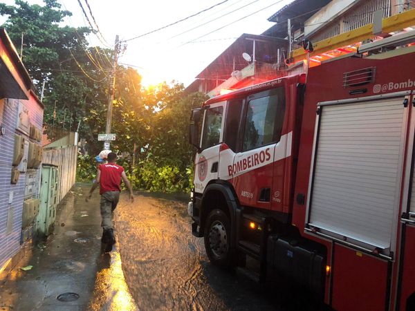 O Corpo de Bombeiros foi acionado para atender a ocorrência A árvore caiu em cima de um carro com uma motorista dentro no bairro Aquidaban, em Cachoeiro  por Thomaz Albano