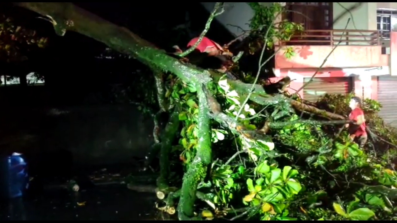 Chuva com muitos raios na noite de segunda para terça-feira assusta  moradores e derruba árvores