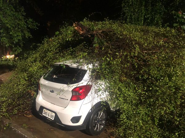 Galho de árvore cai sobre carro no bairro Coronel Borges  por  Thomaz Albano