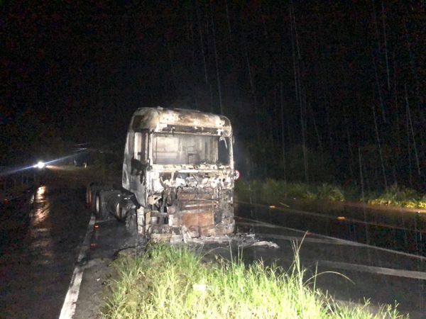 Veículo pegou fogo em rodovia após bater em árvore  por  Thomaz Albano