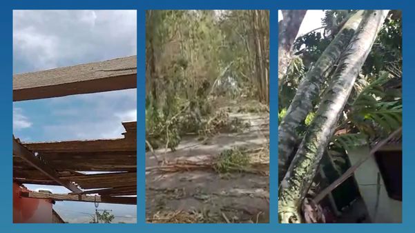 Vendaval destelha casas e provoca queda de galhos em Itapemirim