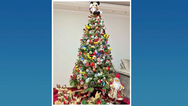 @meirelandefreitas por Reprodução/Instagram