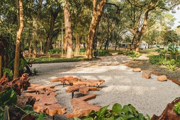 Autores do projeto de intervenção e revitalização do Ibirapuera, o parque mais tradicional da capital paulista, o Plantar Ideias desenvolveu o projeto de um restaurante em pleno parque