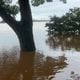 Imagem - Rio Doce continua em elevação e famílias saem de casa em Linhares