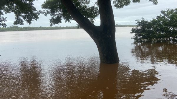 Cheia do Rio Doce, em Linhares