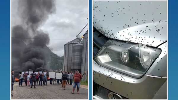 Moradores fazem protesto após invasão de moscas em Venda Nova