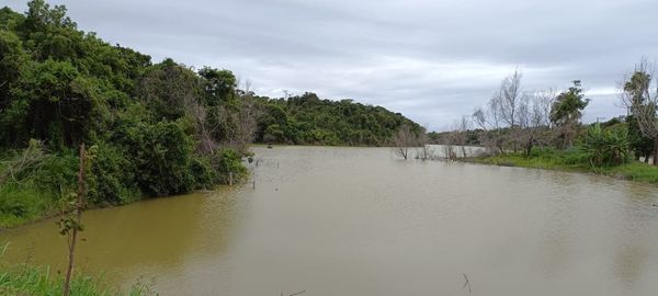 Lagoa do Icaraí, em Anchieta, no Sul do Estado por Secretaria de Meio Ambiente de Anchieta