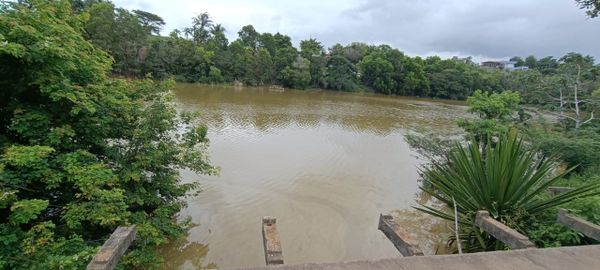 A Lagoa de Nova Guarapari também está com a cor esverdeada por Secretaria de Meio Ambiente de Anchieta