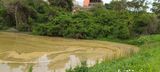 Duas lagoas estão impróprias para banho e pesca em Anchieta(Secretaria de Meio Ambiente de Anchieta)