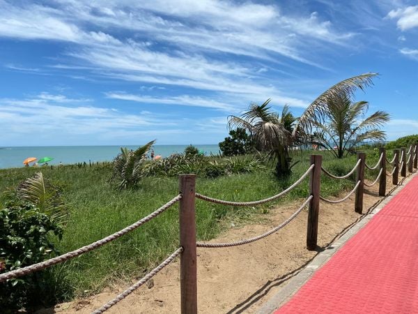 Proteção das restingas em Vila Velha