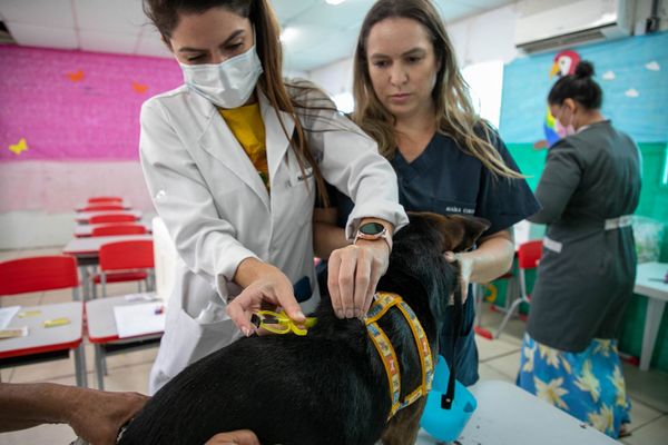 Programa Poca de Vila Velha