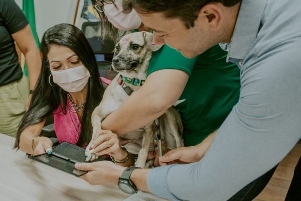 Programa Poca de Vila Velha