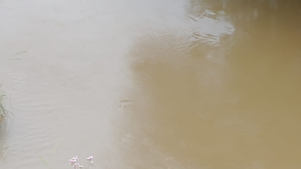 Homem que estava desaparecido é encontrado morto em rio de Dores do Rio Preto