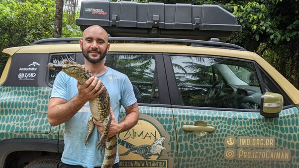 Animal é uma fêmea e já ganhou até nome; ela passou por exames e deve ser liberada na natureza nos próximos dias