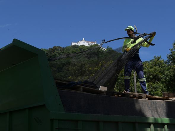 Prefeitura de Vila Velha limpa o Parque da Prainha e avalia estragos após saída de bolsonaristas por Fernando Madeira