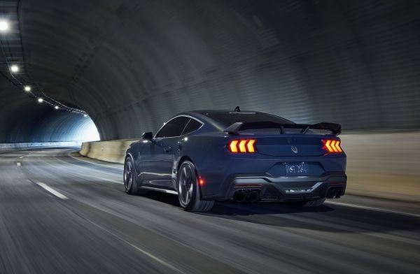 Mustang Dark Rose