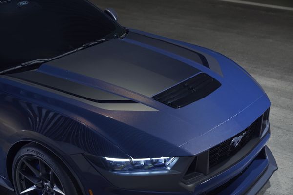 Mustang Dark Rose
