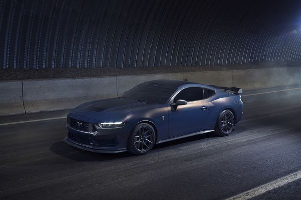 Mustang Dark Rose