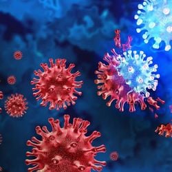 A Secretaria de Saúde do México recomendou que a população procure centros de saúde, unidades médicas e postos de vacinação para atualizar o esquema vacinal da temporada de inverno