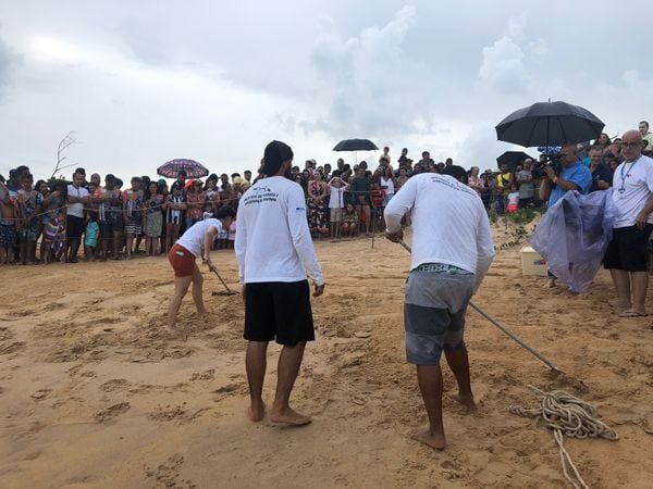 Uma nova abertura de ninho de tartarugas marinhas ocorreu hoje (5), na praia da Guanabara, no litoral de Anchieta por Thomaz Albano