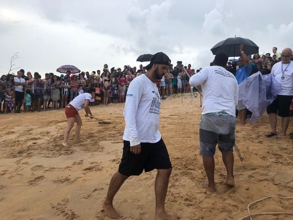 Uma nova abertura de ninho de tartarugas marinhas ocorreu hoje (5), na praia da Guanabara, no litoral de Anchieta por Thomaz Albano