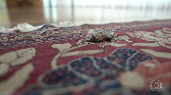 Tapete rasgado no Palácio da Alvorada por Globonews/Reprodução