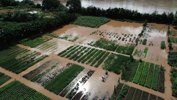 Rio Doce em Colatina por Hériklis Douglas