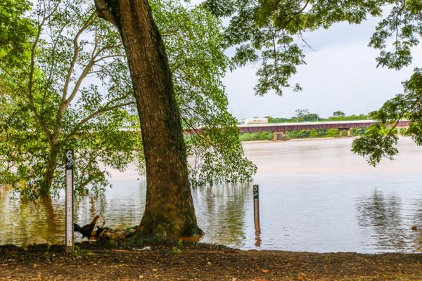 Rio Doce em Linhares por Prefeitura de Linhares