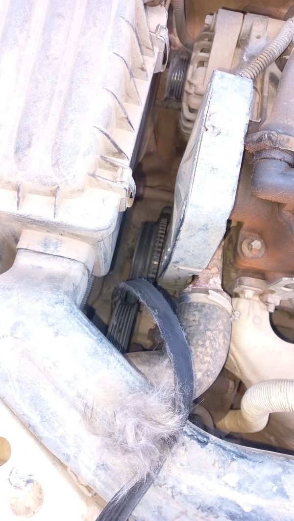 Gato é resgatado após ficar preso em motor de carro em Baixo Guandu por Corpo de Bombeiros | Divulgação