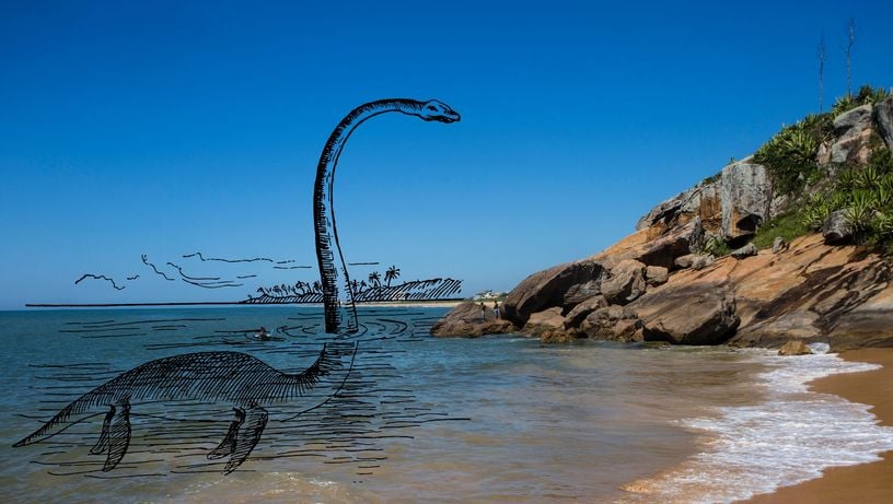 Monstro da Barra do Jucu existiu?