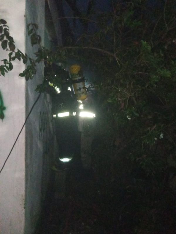 Corpo de Bombeiros fizeram combate ao fogo por Corpo de Bombeiros
