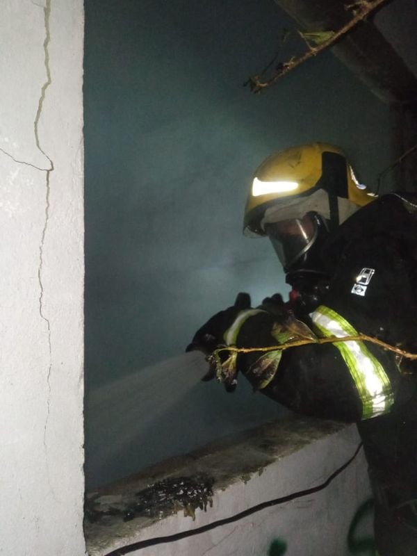 Corpo de Bombeiros fizeram combate ao fogo por Corpo de Bombeiros