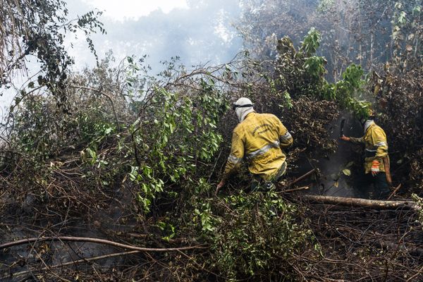 Profissionais do Iema trabalhando para conter as chamas, em outubro de 2022
