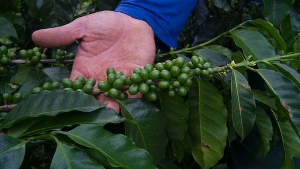 A modernização do agro e os novos desafios no campo exigem uma atuação eficiente conectada com as novas demandas