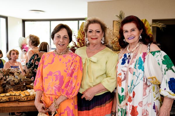 Alzira Torres, Hélvia Abaurre e Vera Breder