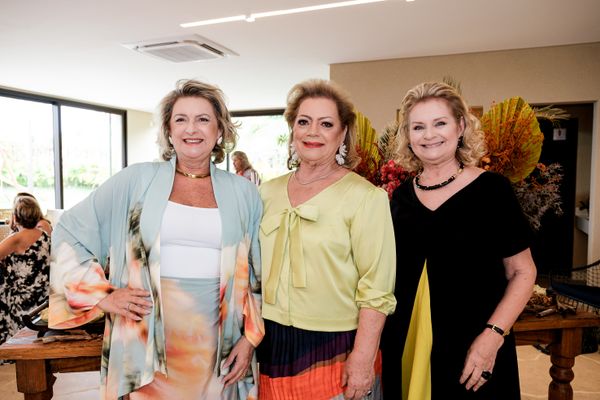 Gracinha Nader, Hélvia Abaurre e Solange Herkenhoff